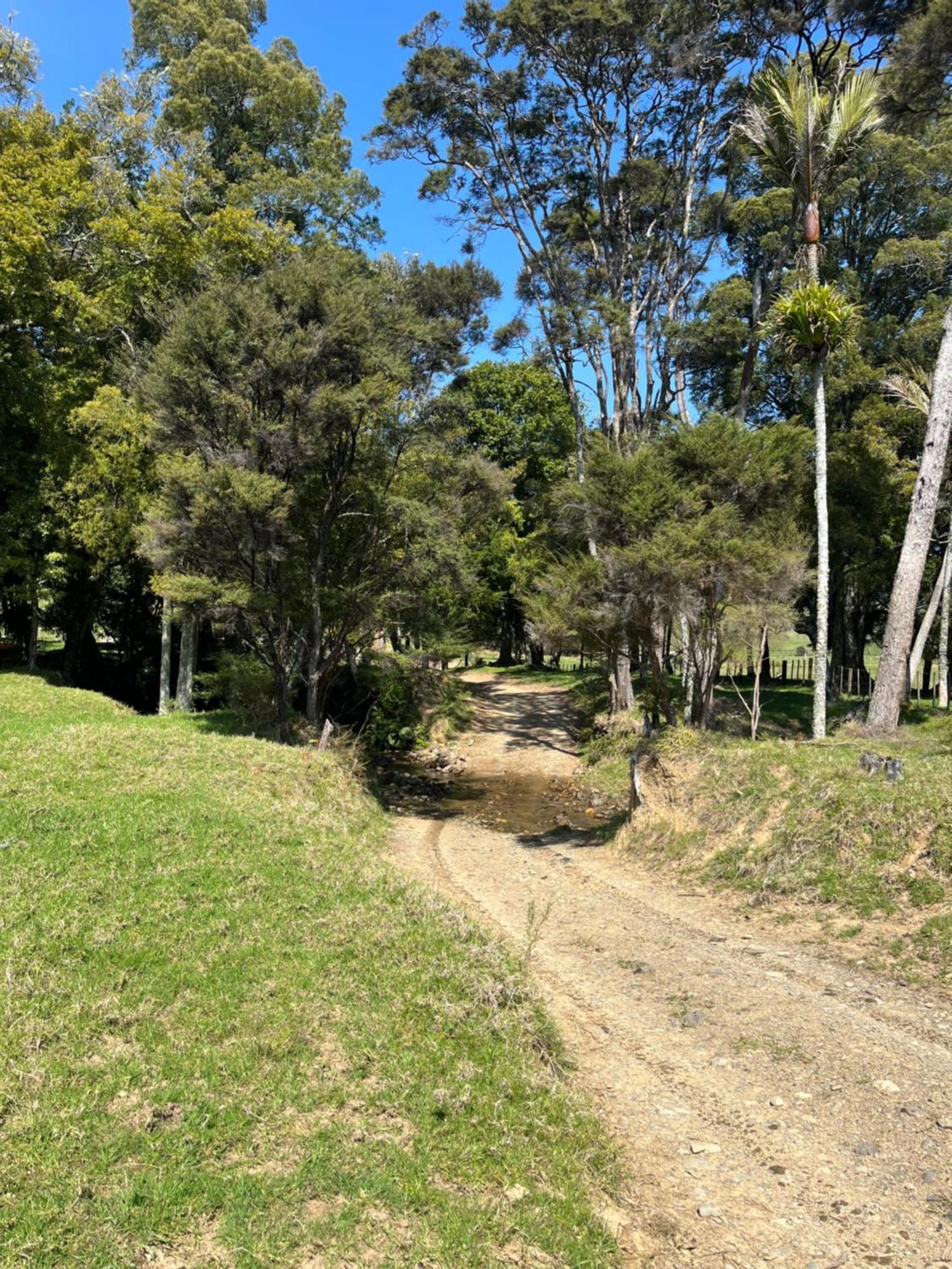 White Star Station Farm Holiday Park Coromandel Dış mekan fotoğraf