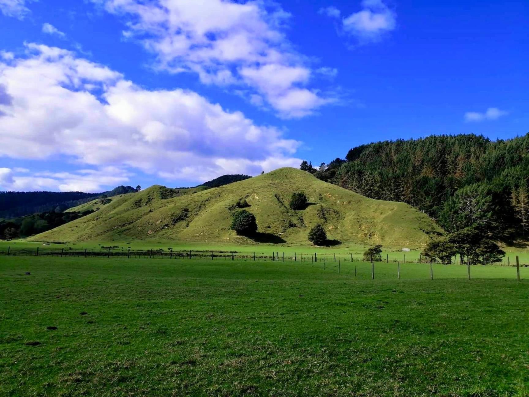 White Star Station Farm Holiday Park Coromandel Dış mekan fotoğraf